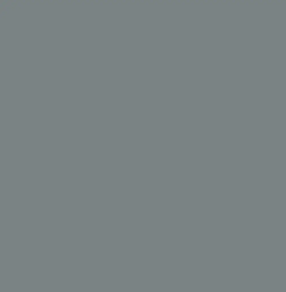 48inX50YD GREY MATTE -071 ORACAL 631  Exhibition Cal Vinyl