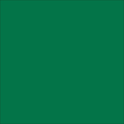 [751/061-15] 15in x 50yd GREEN - 061 ORACAL 751 PERFORMANCE CAST