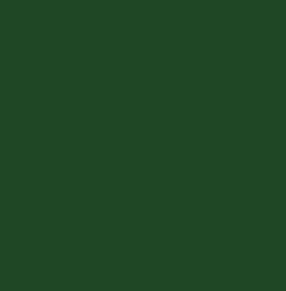 48in x 10yd FOLIAGE GREEN METALLIC - 679 ORACAL 951 PREMIUM CAST