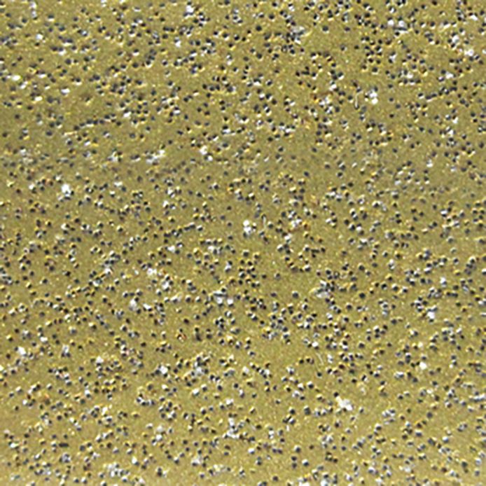 15INX30YD GLITTER GOLD - 439 POLI-FLEX IMAGE